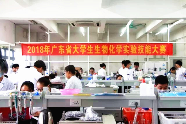 太阳集团官网学生荣获广东省生物化学实验技能大赛二等奖02.jpg